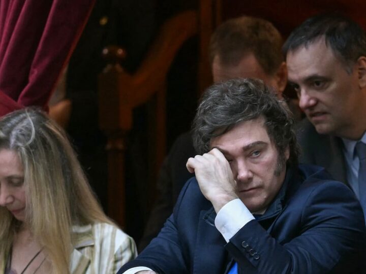 El´Riesgo Adorni´y la caída estrepitosa de Milei